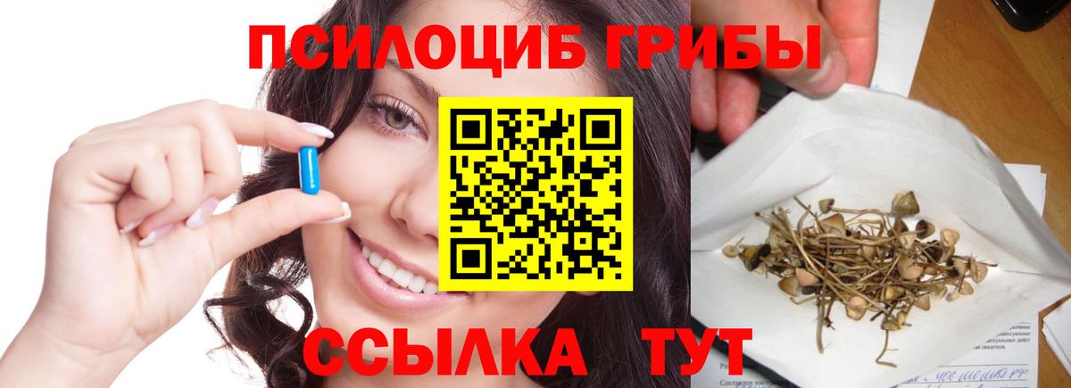 цена   Галлюциногенные грибы Magic Shrooms  Вход с VPN  Сегежа 